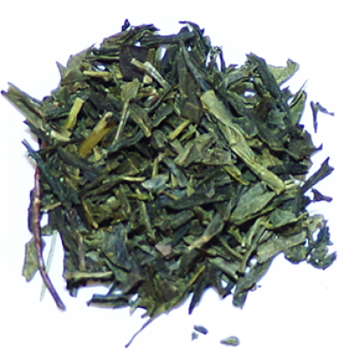 Sencha